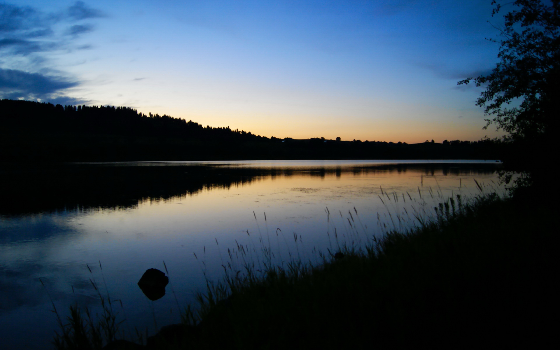 时空交错的篮球史诗，雄鹿稳健称王，格林欧冠封神