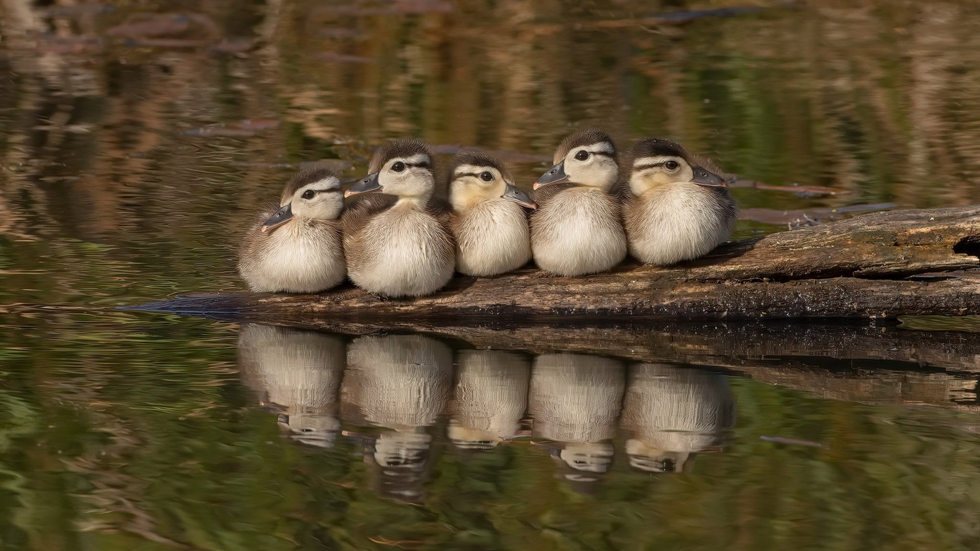 绝杀风云！曼联末节神兵带走塞维利亚，努涅斯化身禁区风暴持续制造杀伤