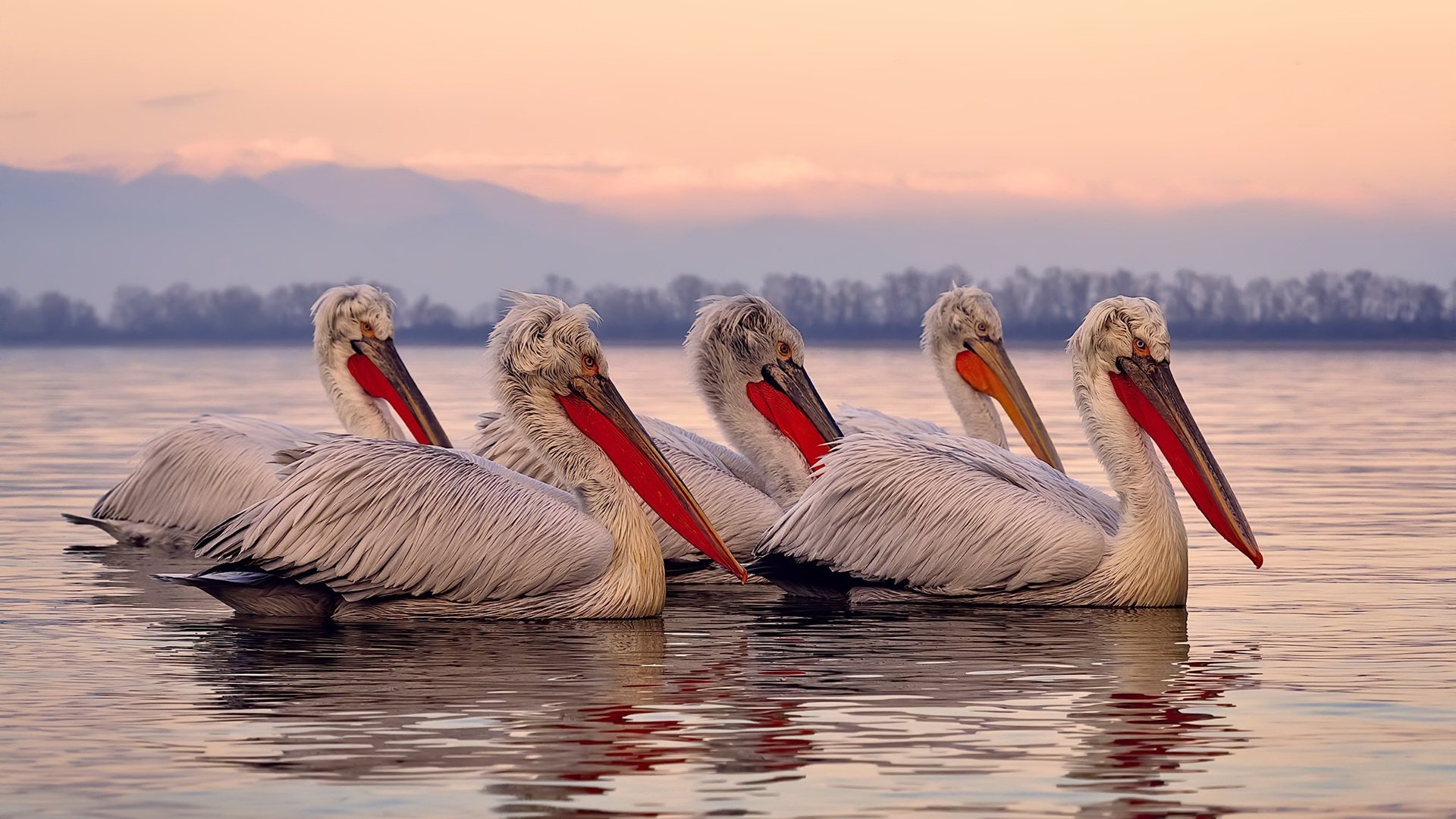 雷火电竞充值-当孙兴慜的弧线划过罗马夜空，一场虚构对决揭示的真实胜负哲学