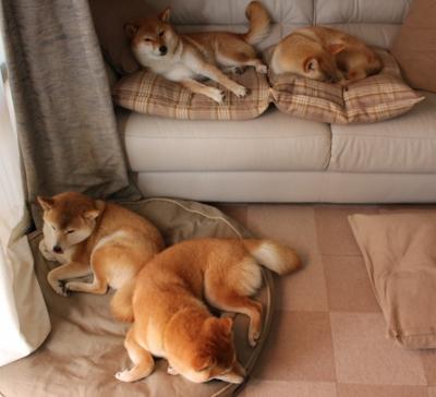 双焦点之夜，维斯塔潘孤独领跑与文班亚马沉默统治—当F1的极速轰鸣遇见NBA的地板震颤