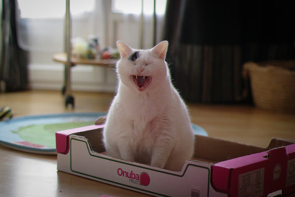 帝国余晖下的致命一击，阿圭罗补时绝杀，罗马军团险胜瑞士雇佣兵