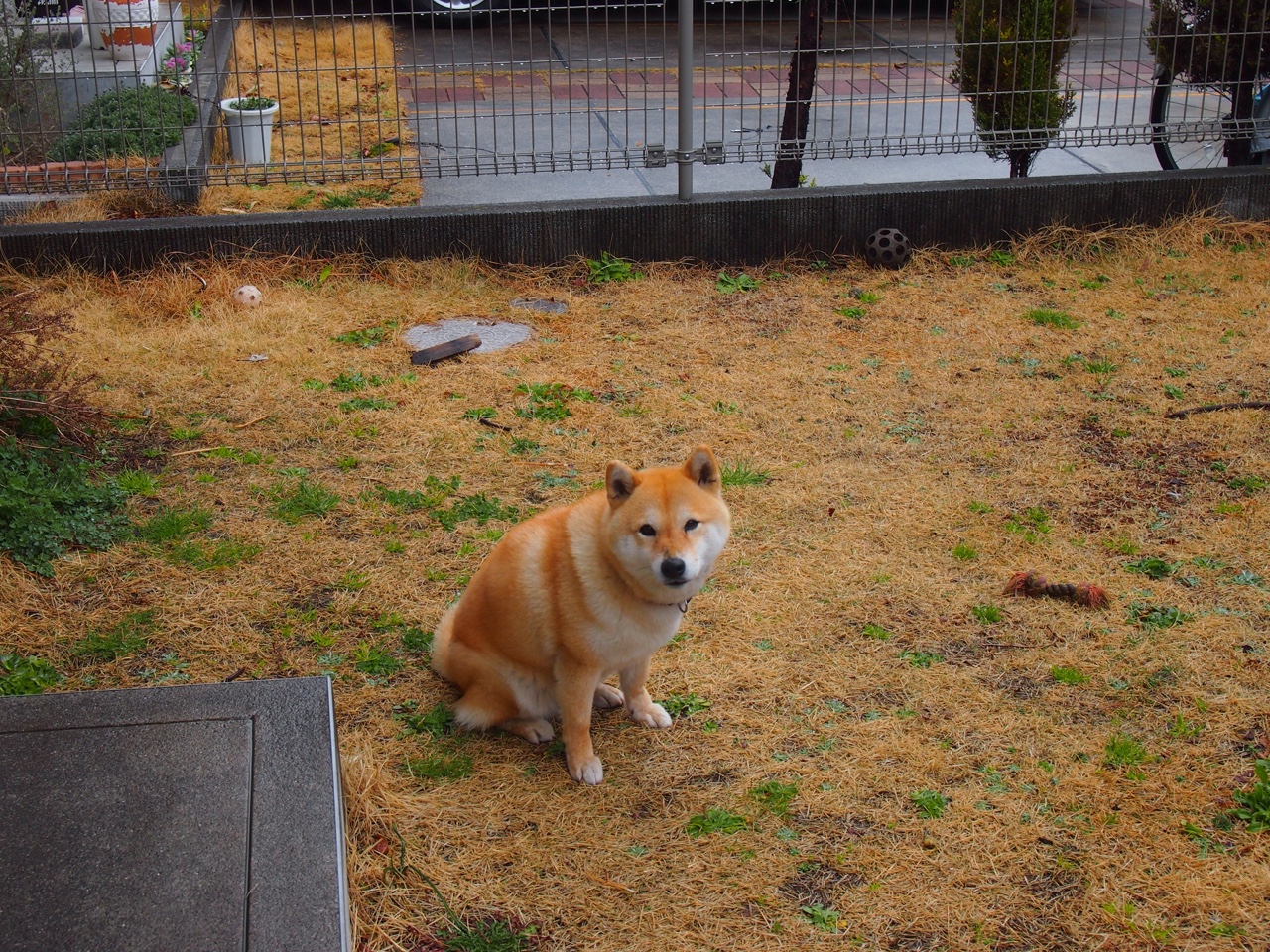 温布利上空的广陵散，当帕尔默用东方智慧导演曼城大逆转