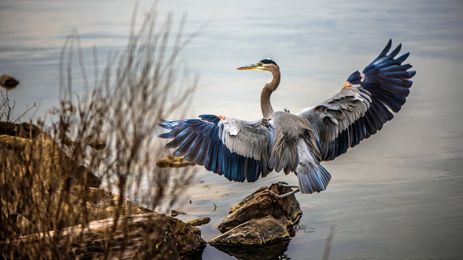 唯一性的证明，当太阳在CBA爆发，爱德华兹在欧冠闪耀