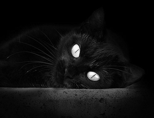 雷火电竞简介-足球的平行宇宙，当意甲焦点战遇见冰岛奇迹