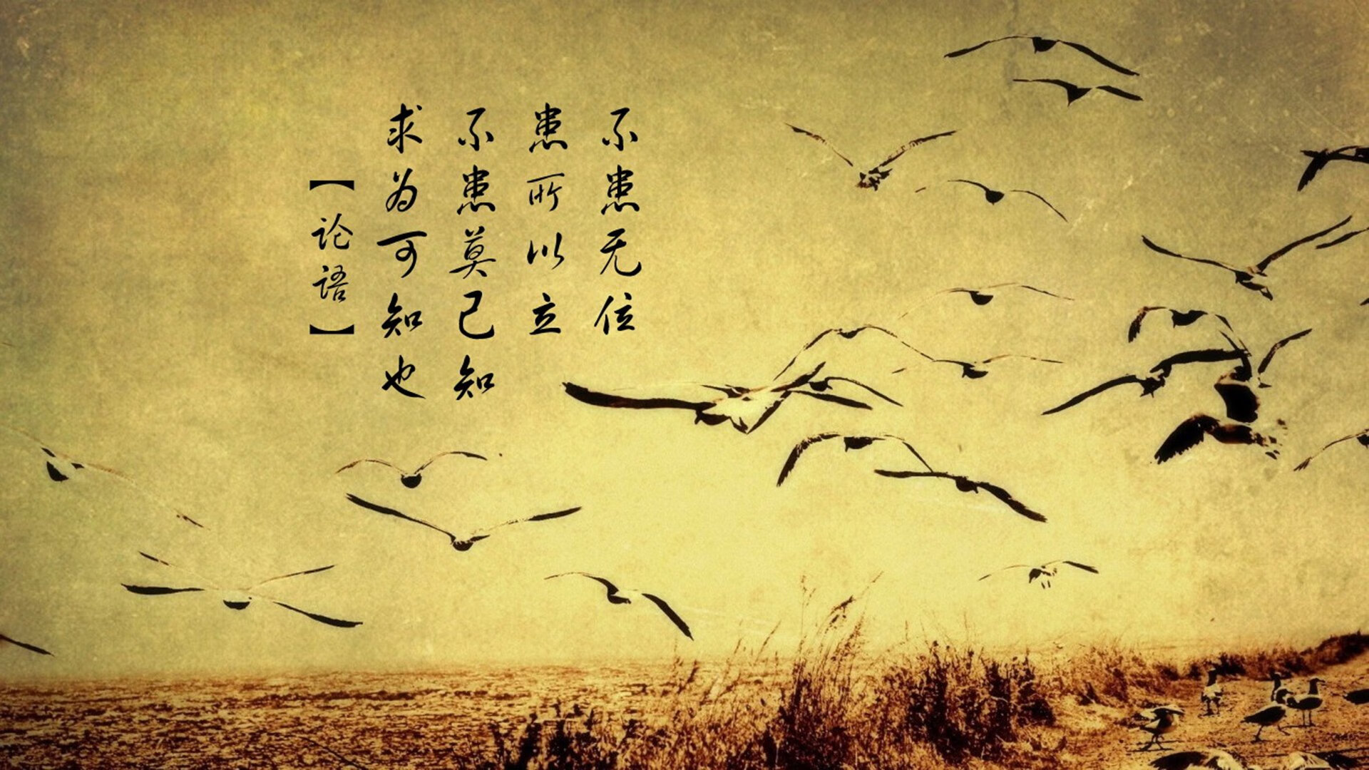 雷火电竞官网-不止于进球，从卢卡库破纪录到委内瑞拉奏凯，看足球世界的两种唯一性