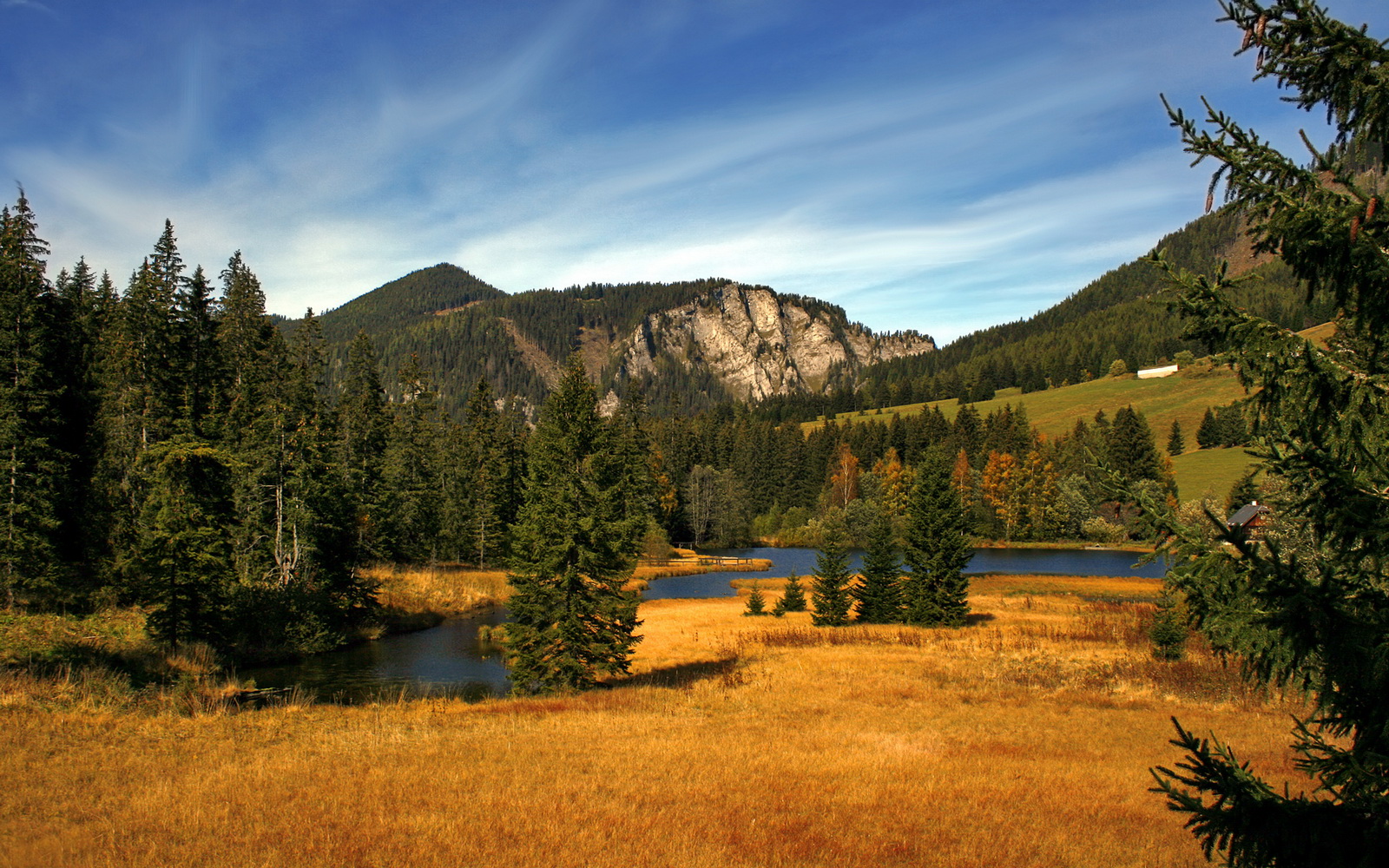 星光刺破暗夜，哈利伯顿压力下的凤凰涅槃之战