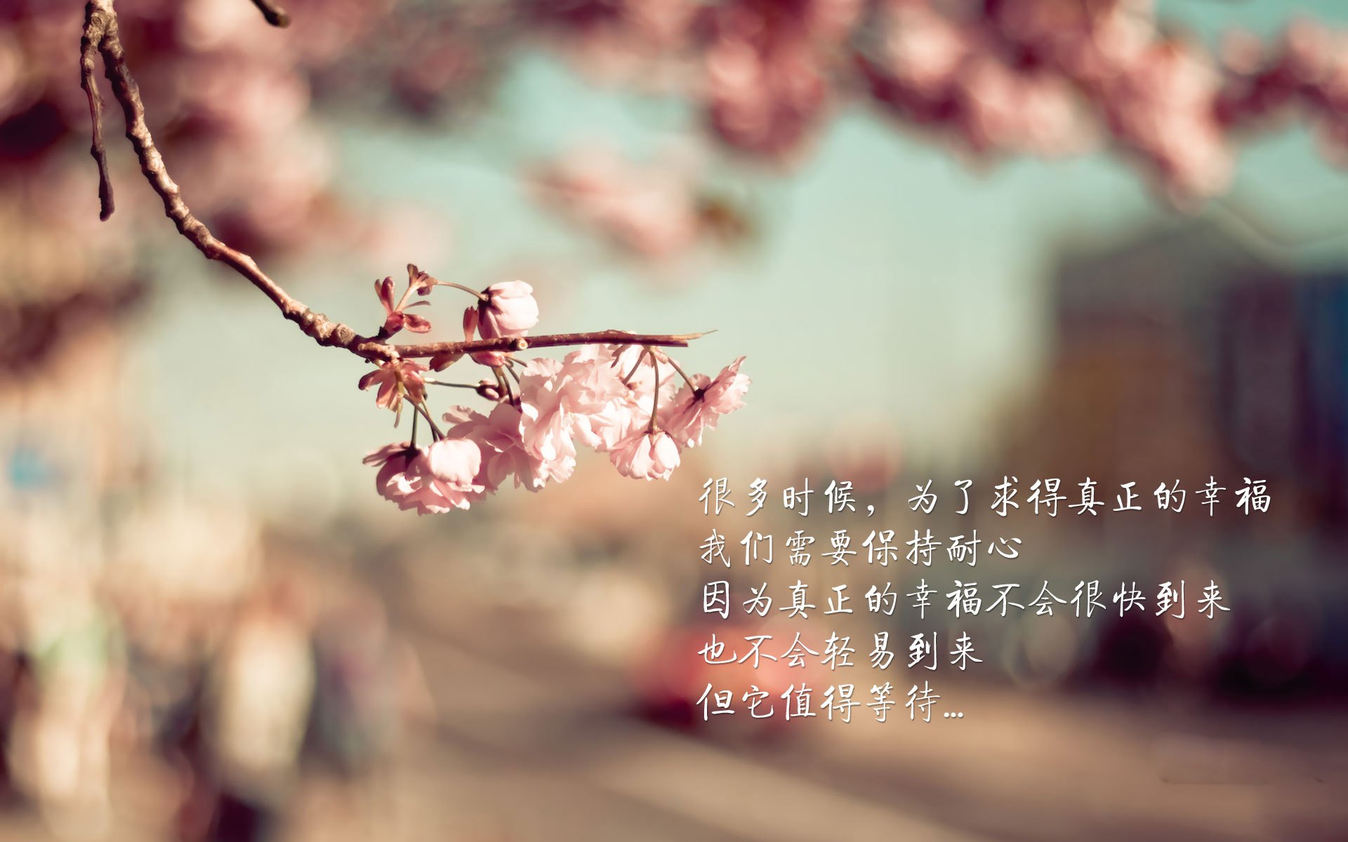 当新疆队遭遇魔法老鹰，库里在异世界第七战展现的巨星真义