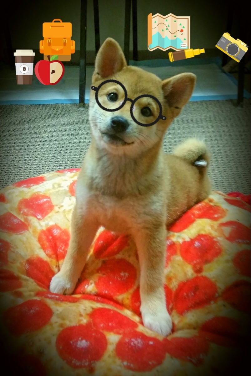 雷火电竞网址-生死战中的东方奇迹，伊朗力克马德里竞技，久保建英进攻端肆虐全场