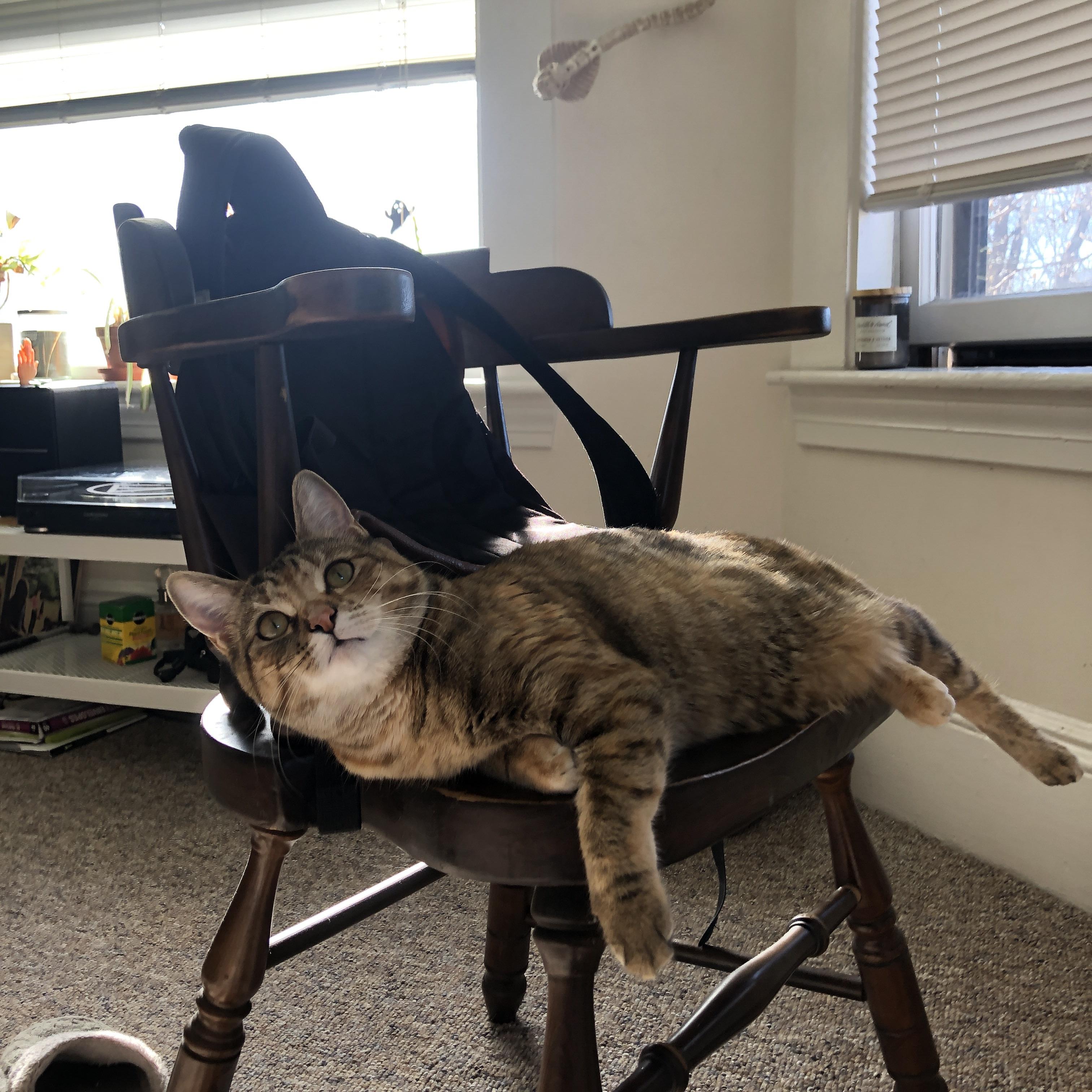 雷火电竞-紫金王朝的试金石，当爱德华兹在大场面中接过火炬